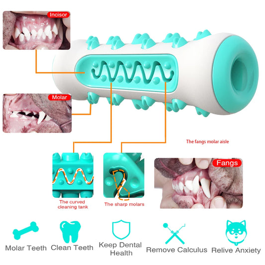 Premium Dental Chew Toy for Dogs™